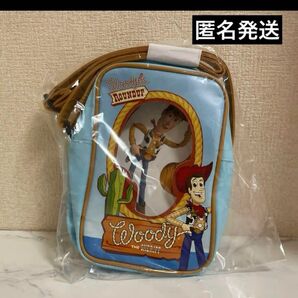 トイパッケージ型バッグ ウッディ トイストーリー
