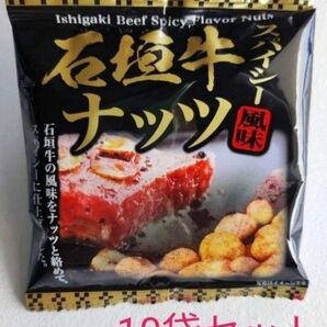 人気おつまみ 10袋セット 石垣牛スパイシーナッツ 沖縄お土産 落花生 ガーリック ご当地お土産