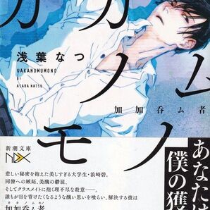 ★ 「カカノムモノ」 浅葉 なつ 帯あり ◆古本◆