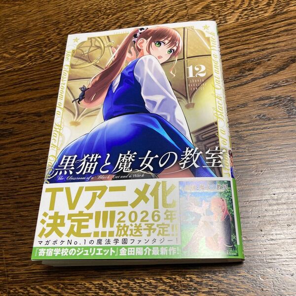 黒猫と魔女の教室 1〜12巻 全巻セット(講談社コミックス 週刊少年マガジン) 金田陽介/著