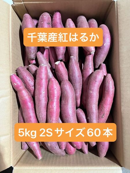 千葉県産紅はるか