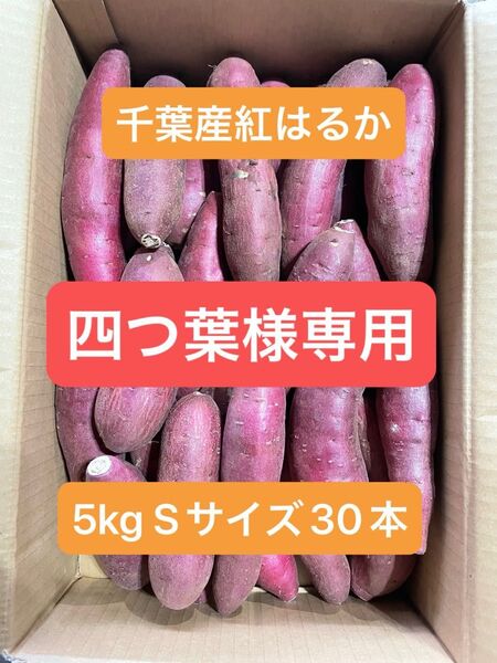 千葉県産紅はるか