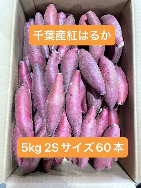 千葉県産紅はるか