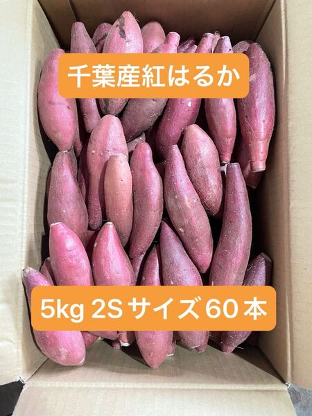 千葉県産紅はるか