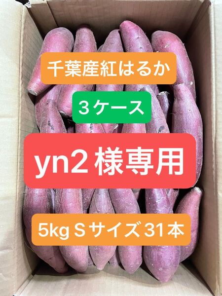 千葉県産紅はるか