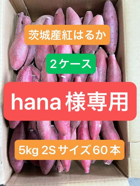 茨城県産紅はるか