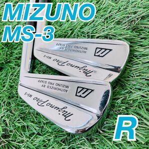 ゴルフ メンズ アイアンセット ミズノ プロ MS-3 N1122