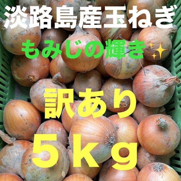 淡路島産玉ねぎもみじの輝き5キロ訳あり