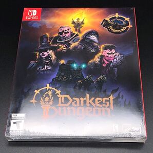 Darkest Dungeon 2 ダーケストダンジョン 2 輸入版 switch ニンテンドースイッチ