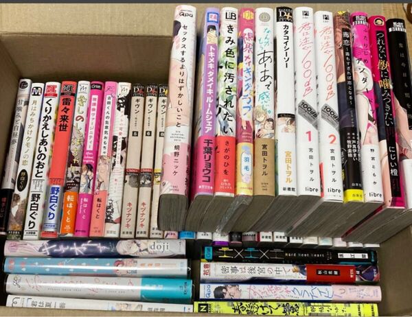 コミック BLコミック45冊セット BLコミック TLコミック コミック