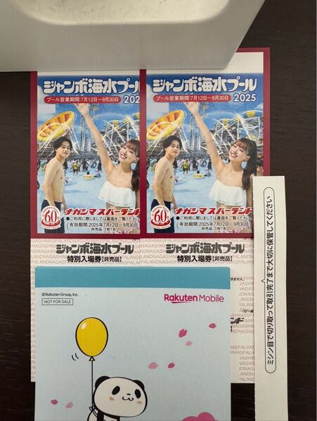 ナガシマスパーランド ジャンボ海水プール 入場券 大人2枚
