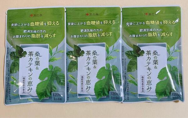 和漢の森 桑の葉 茶カテキン 120粒 国産お腹の脂肪を減らす ×3袋
