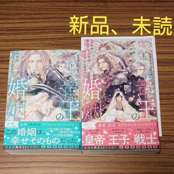 BL小説 竜王の婚姻 上下(eclair novels) 佐伊/著 【本は新品、未読】コミコミ特典小冊子付き