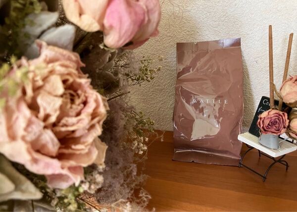 WATTLE ワトルクッションファンデーション マットカバー パフ付き