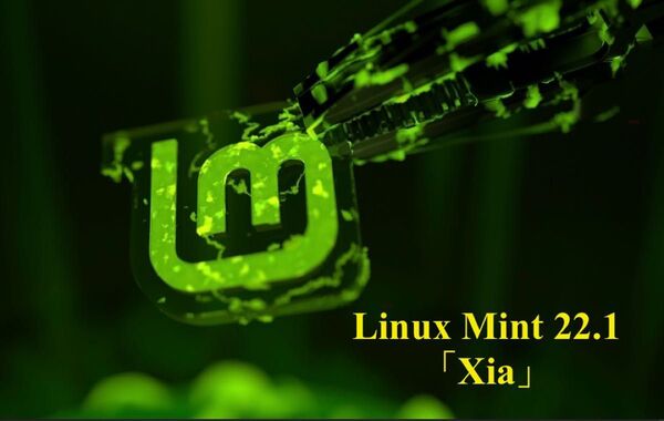 Linux Mint 22.1「Xia」インストール用起動DVD。CinnamonエディションとXfceエディションの2枚セット。