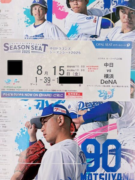 中日ドラゴンズ主催 バンテリンドームナゴヤ 8/15(金) 横浜DeNAベイスターズ戦 内野B 3塁側 1席