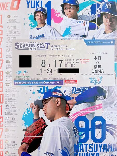 中日ドラゴンズ主催 バンテリンドームナゴヤ 8/17(日) 横浜DeNAベイスターズ戦 ドラ恋デー 内野B 3塁側 1席