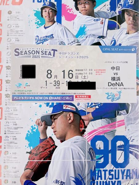 中日ドラゴンズ主催 バンテリンドームナゴヤ 8/17(土) 横浜DeNAベイスターズ戦 内野B 3塁側 1席