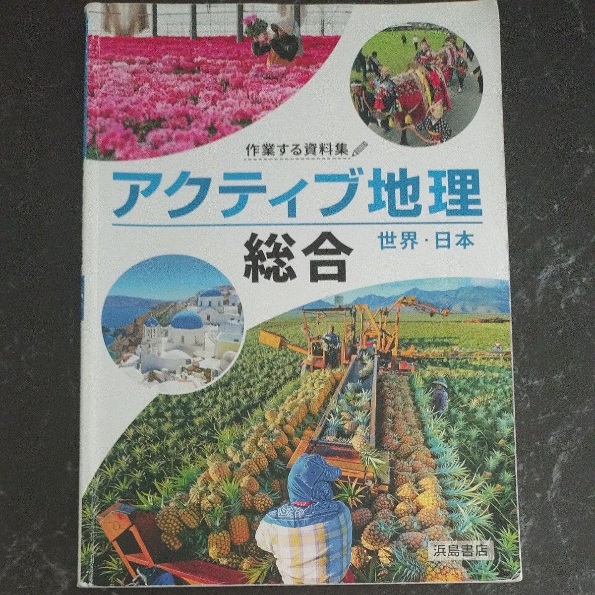 アクティブ地理総合 世界・日本 浜島書店