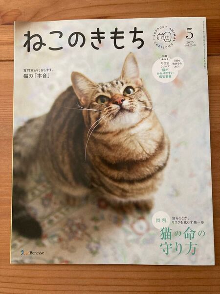 ねこのきもち 2025年5月号 猫がかかりやすい病気事典付
