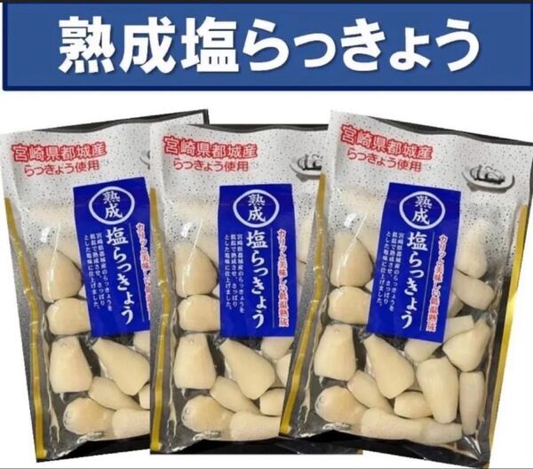【宮崎のお漬物】熟成・塩らっきょう(塩漬け)80g 3袋 上沖産業さっぱり塩味
