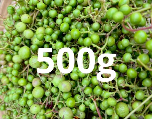【天然サプリ自然の力】馬ぶどう 野葡萄 青い実500g