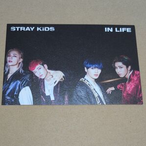 Stray Kids IN生 公式 ポストカード バンチャン ヒョンジン ハン アイエン