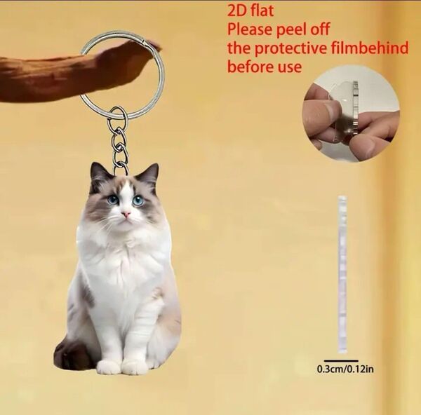 ラグドール 猫 キーホルダー キーリング アクリル 2D ネコ ねこ