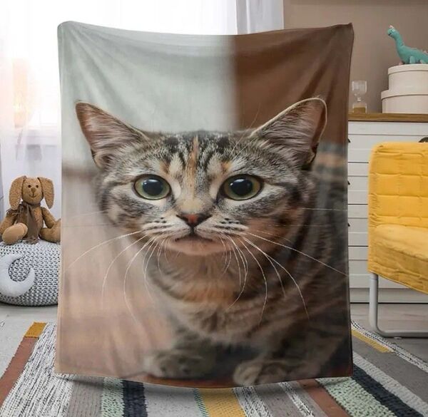 キジトラ 猫柄 プリント 膝掛け ブランケット 毛布 猫 ネコ ねこ