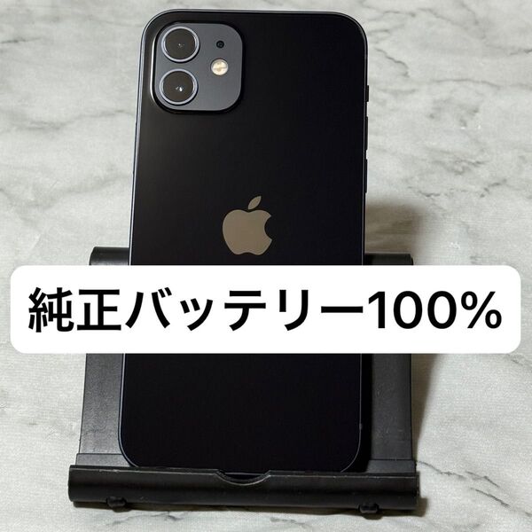 iPhone 12 64GB ブラック SIMフリー バッテリー100%