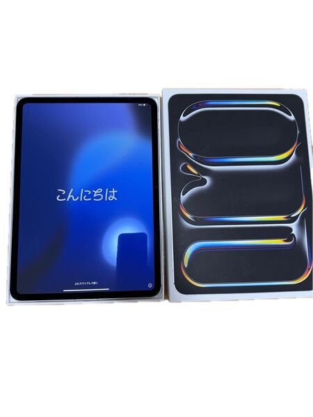 2024年モデル iPad Pro Wi-Fi 11インチ m4 スペースグレイ Cellular A2759