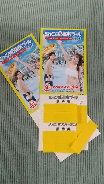 ナガシマスパーランド ジャンボ海水プール 招待券 2枚セット