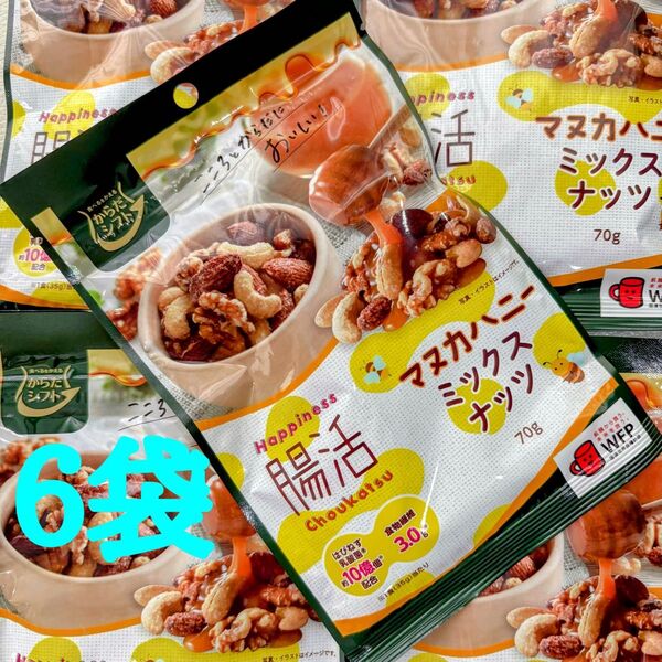 からだシフト 腸活 マヌカハニーミックスナッツ 6袋