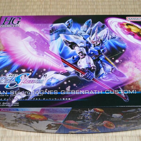 HG 機動戦士ガンダムSEED ギャンシュトローム(アグネス・ギーベンラート専用機)