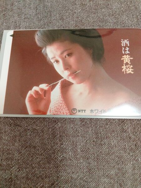 テレカ50-3枚組アオ様用