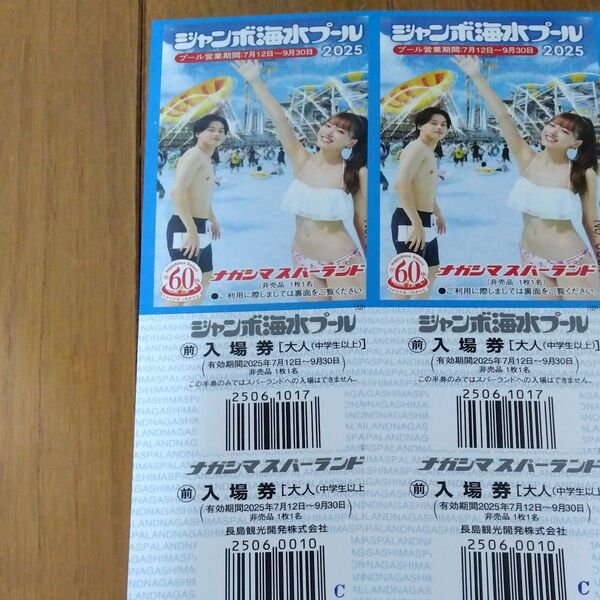 ナガシマジャンボ海水プール ナガシマスパーランド 招待券 入場券 チケット ペア 匿名配送 長島 ナガシマリゾート