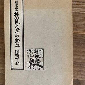 神の見えざる金玉【相原コージ】