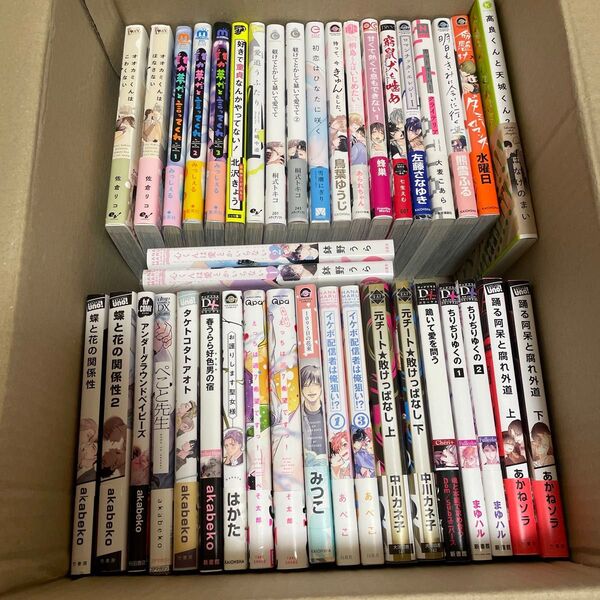 40冊bl漫画まとめ売り BL 漫画 ボーイズラブ
