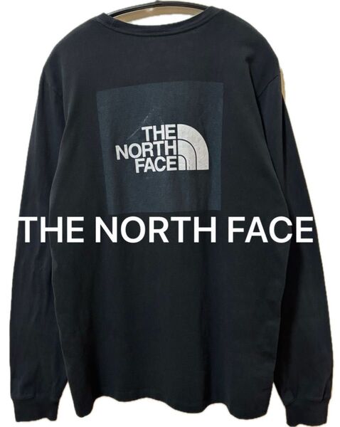 THE NORTH FACE ノースフェイス ブランドロゴ ロングTシャツ ロングスリーブ