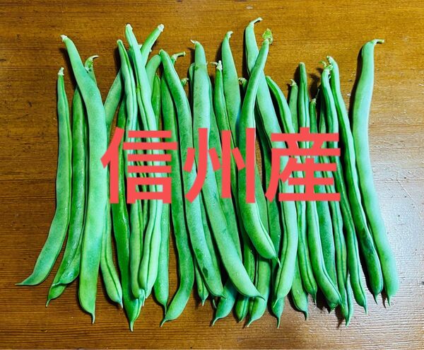 【当日発送】 信州産 無農薬 信州産 長野県産 インゲン豆
