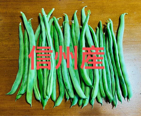 【当日発送】 信州産 無農薬 信州産 長野県産 インゲン豆