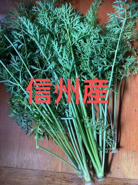 長野県産 にんじんの葉っぱ 人参 無農薬