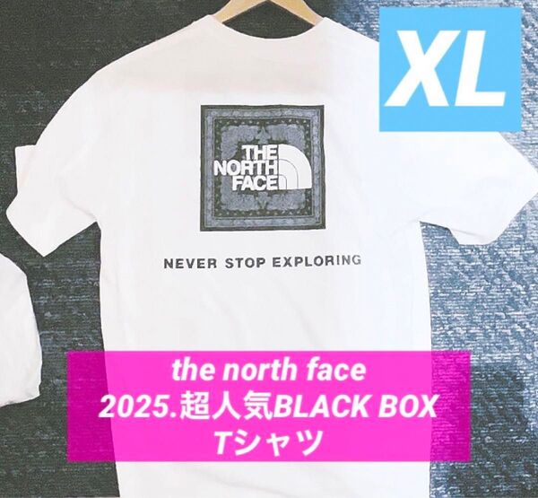 超人気!!ザノースフェイス2025summer超白Tシャツで着たい!the north face BLACK BOX XLサイズ