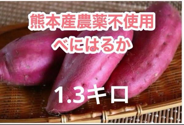熊本産農薬不使用さつまいも◎べにはるか1.3キロ
