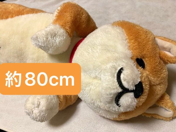わん太 添い寝ぬいぐるみ BIGサイズ 全長約80cm 柴犬 ぬいぐるみ 抱き枕