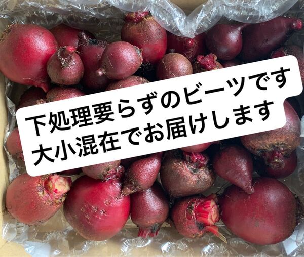 サイズ混合、ビーツ ゆうパケットプラスにずっぱり詰め