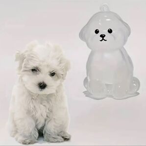 【犬用グッズ】犬のキーホルダー・マルチーズ・ペットひげ抜け毛収納・犬メモリアルグッズ・2点セット