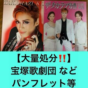 【オーダー販売!】宝塚 蘭寿とむ 壮一帆 霧矢大夢 春野寿美礼 等 パンフレット 宝塚歌劇団 劇団四季