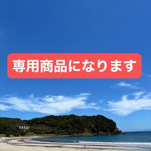 風様専用商品