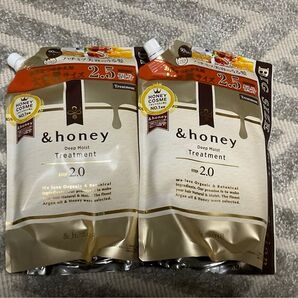 & honey Deep Moist Treatment 大容量 2.5個分 x2